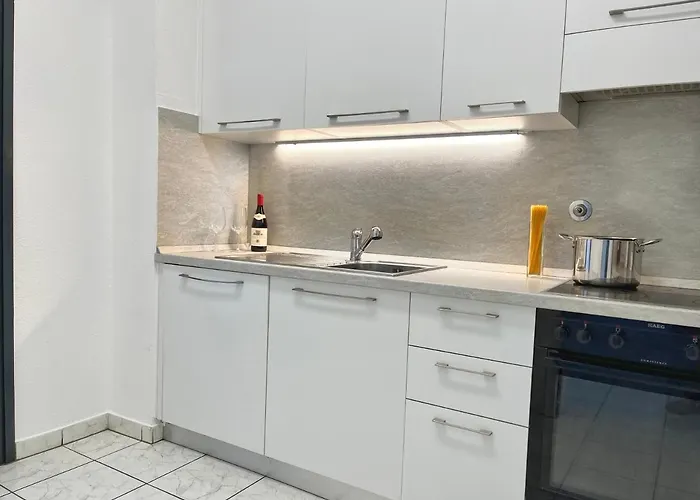 Bilocale Con Terrazzi Via Antonio Riva 3 By Lr ルガーノ